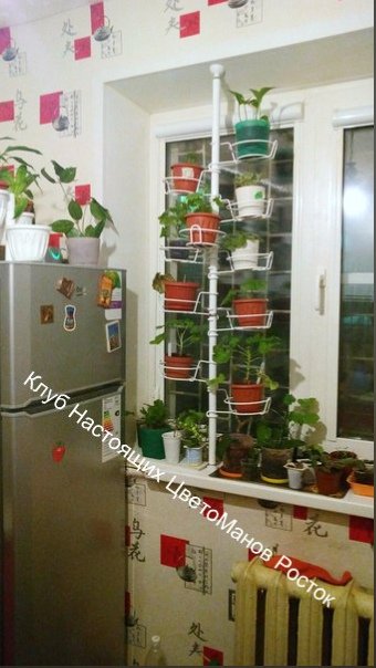 распорка металлическая для растений на окно. Фото N16
